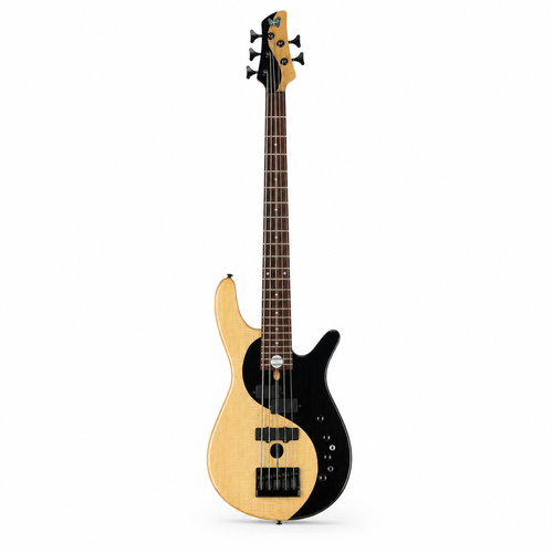 5-String Bass Guitar