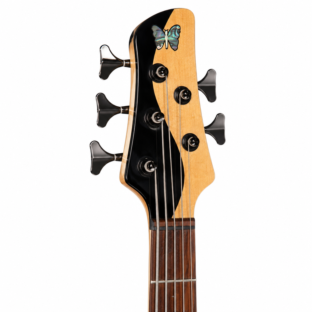 5-String Bass Guitar
