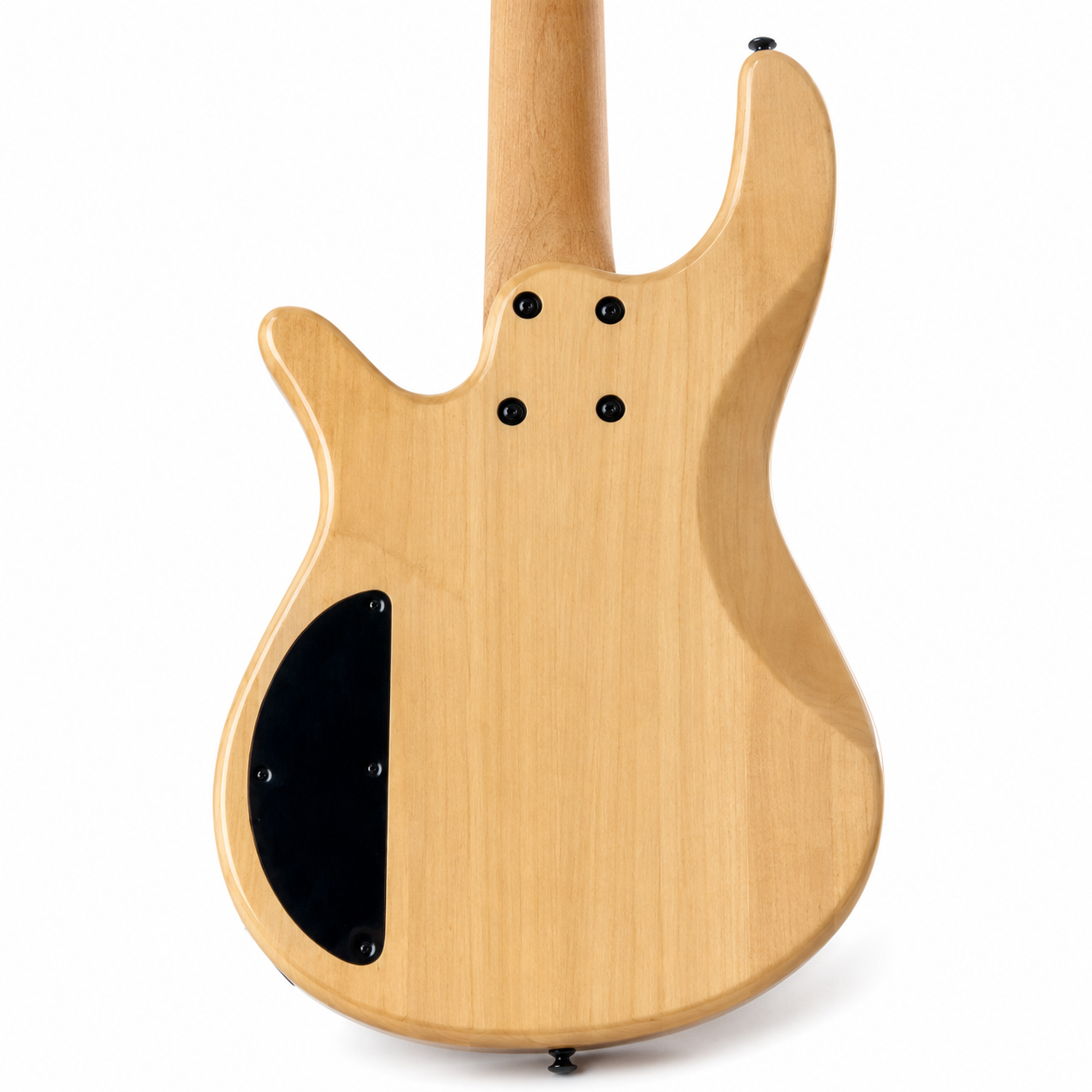 5-String Bass Guitar