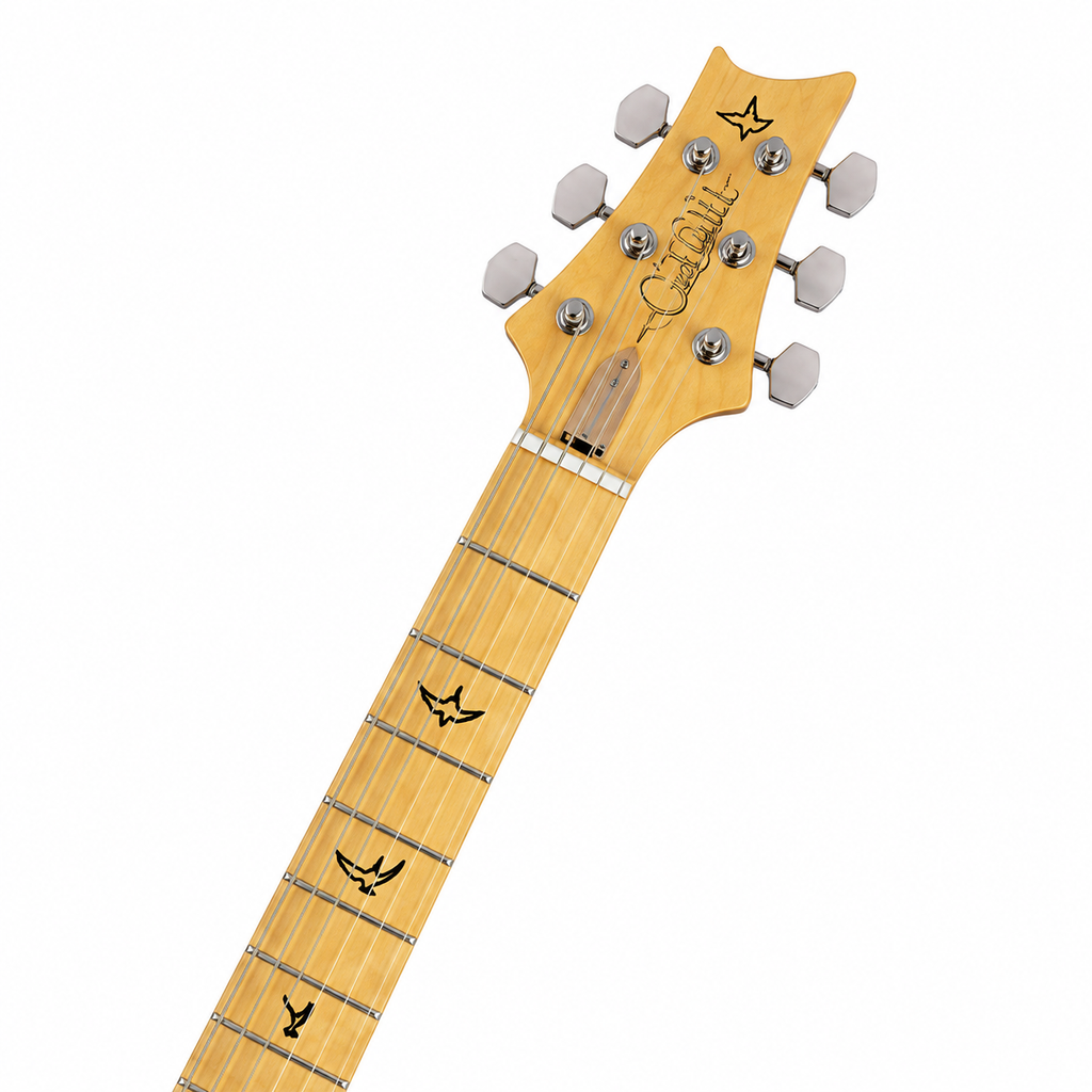 ST Electric Guitar