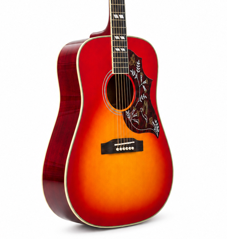Bird Series 41 Inch Solid Top Acoustic Guitar, Glossy Picea Asperata Body with Mahogany Back and Custom Pickguard