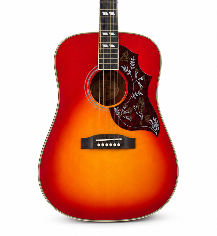 Bird Series 41 Inch Solid Top Acoustic Guitar, Glossy Picea Asperata Body with Mahogany Back and Custom Pickguard
