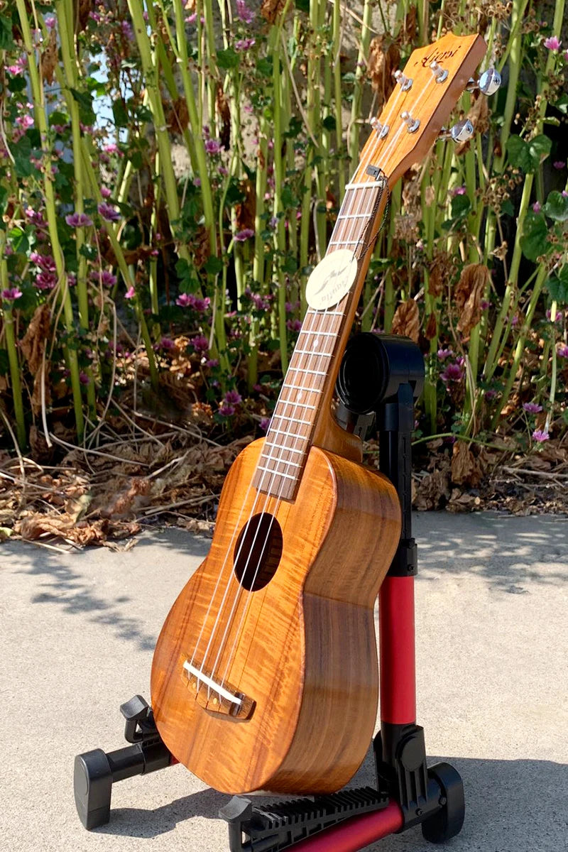 Premium Solid Koa Ukulele for Concert and Tenor Players