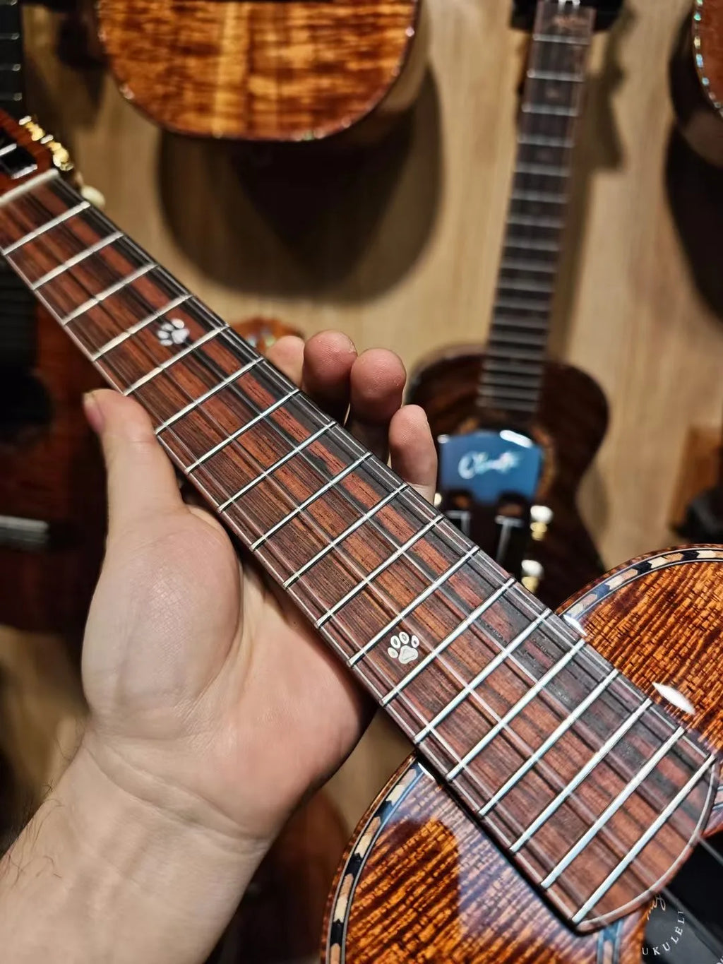 Custom Handmade Tenor Ukulele with Ebony Fingerboard