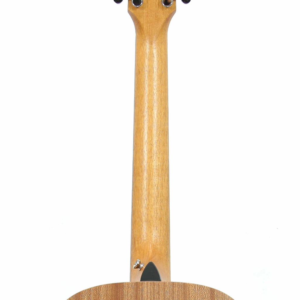 Taylor GS Mini-e Victorian Burst Limited Edition Guitar