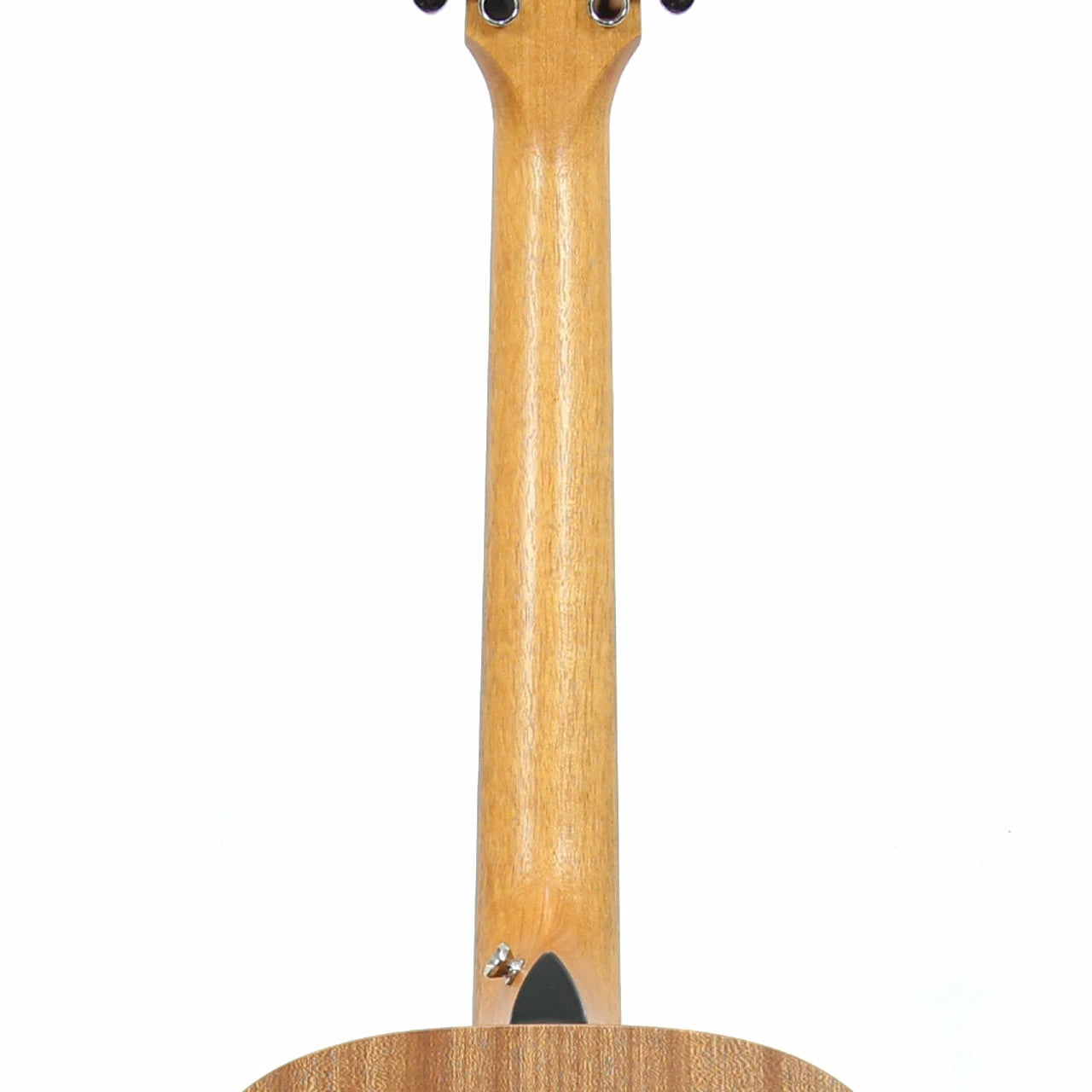 Taylor GS Mini-e Victorian Burst Limited Edition Guitar