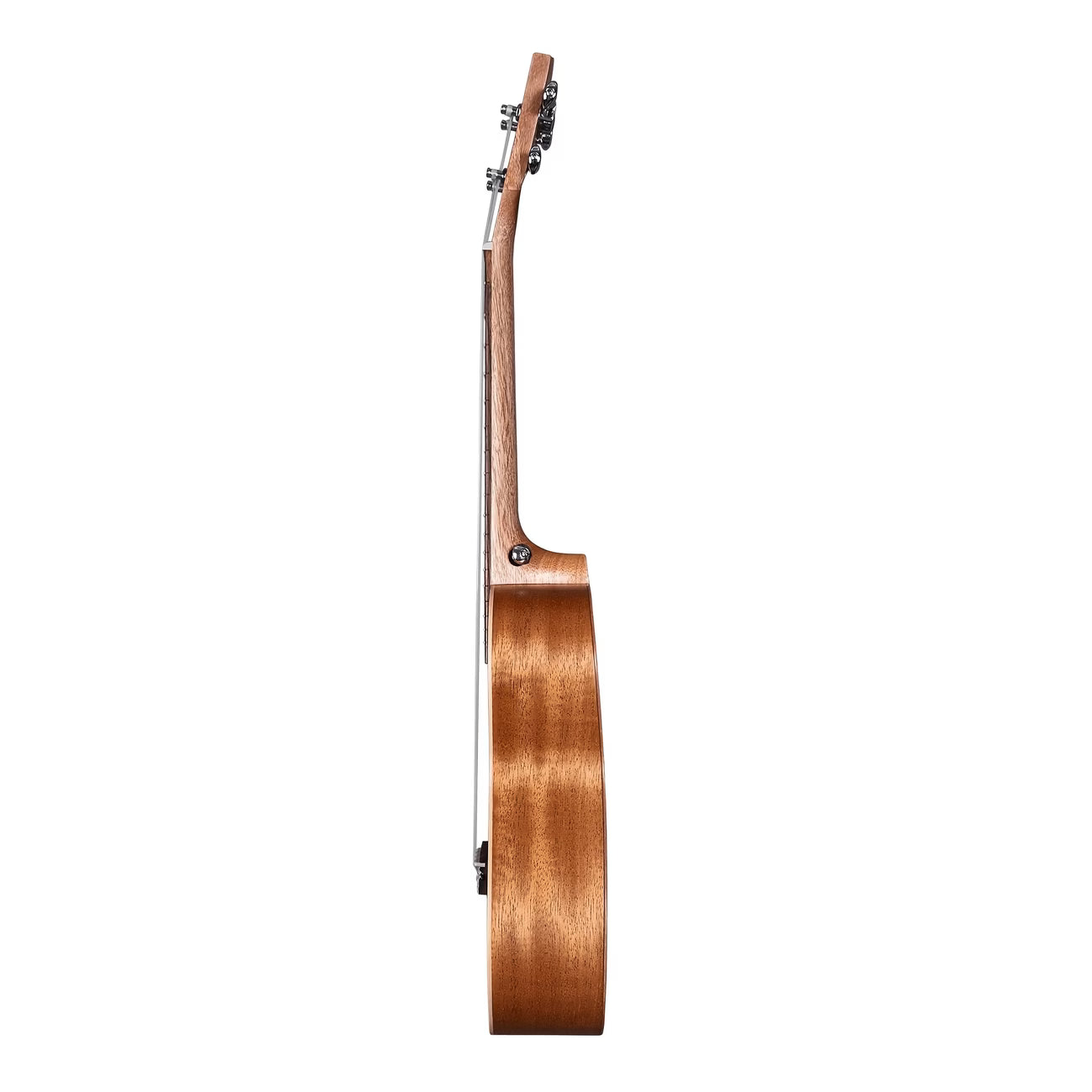 Mahogany Concert Ukulele