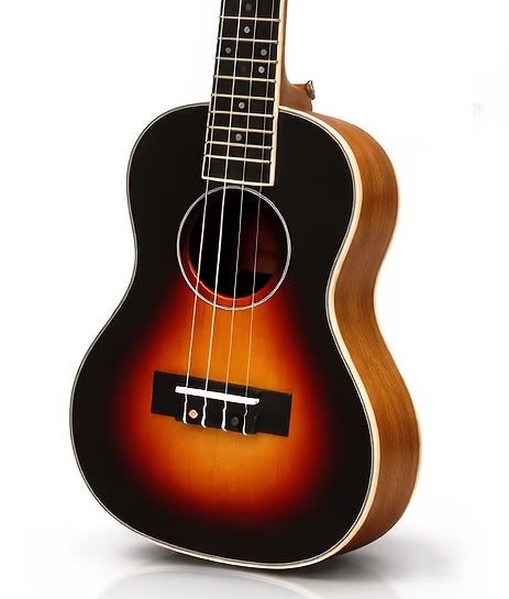 Beginner Ukulele Starter Instrument