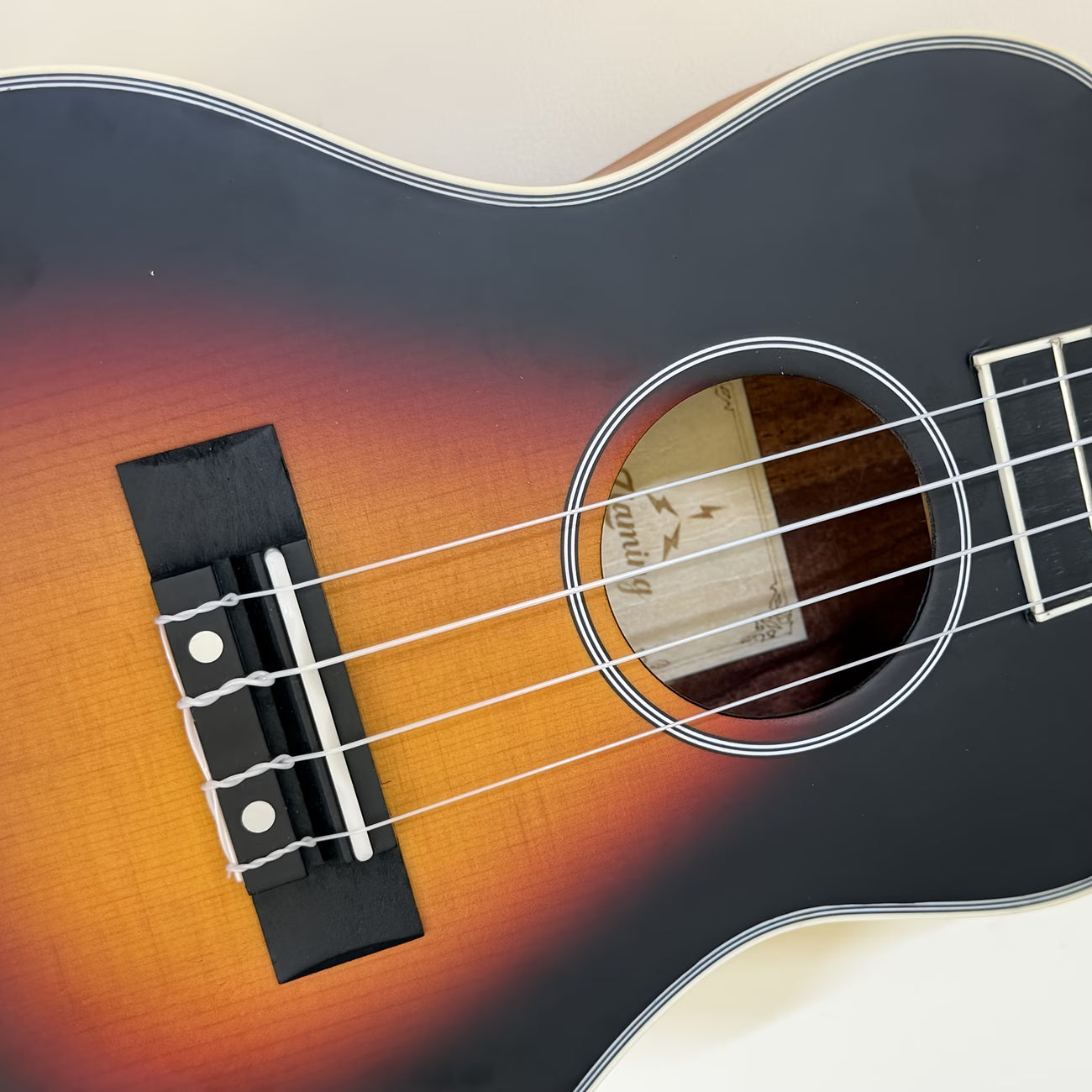 Beginner Ukulele Starter Instrument